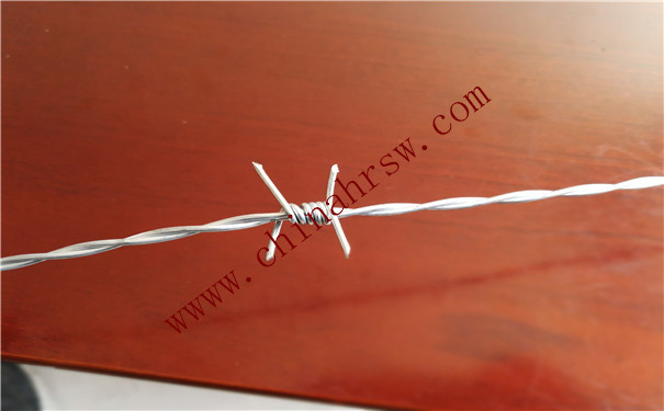 熱鍍鋅刺繩 熱鍍鋅刺繩