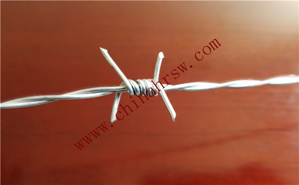 帶刺鐵絲網(wǎng) 帶刺鐵絲網(wǎng)