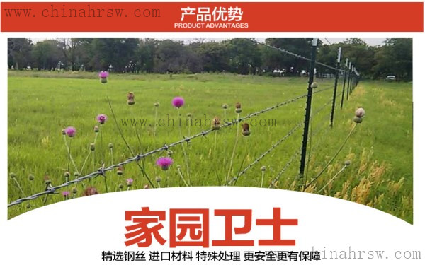 刺繩護(hù)欄網(wǎng) 刺繩護(hù)欄網(wǎng)