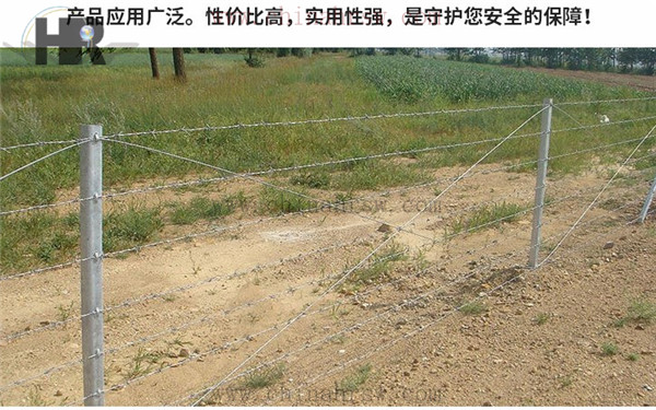 刺繩鋼絲網(wǎng)多少錢一米: 刺繩鋼絲網(wǎng)多少錢一米: