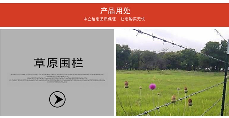 帶刺鐵絲網(wǎng) 帶刺鐵絲網(wǎng)
