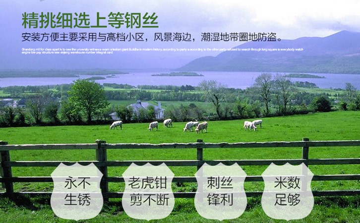 帶刺鐵絲網(wǎng)圍欄 帶刺鐵絲網(wǎng)圍欄