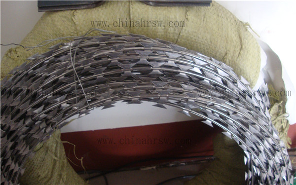 不銹鋼刀片刺網(wǎng) 不銹鋼刀片刺網(wǎng)