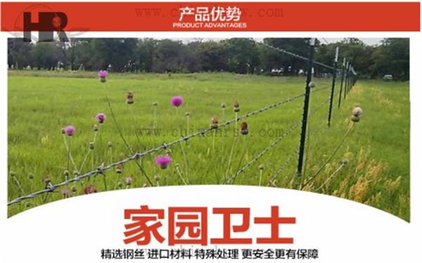 刺繩防護(hù)網(wǎng) 刺繩防護(hù)網(wǎng)