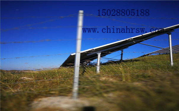 刺絲圍欄 刺絲圍欄