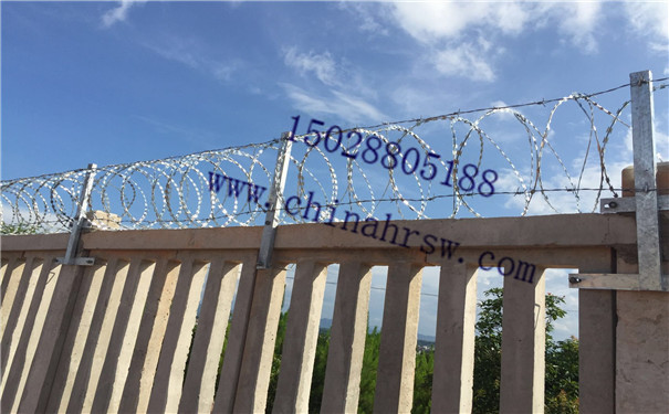 刺繩防護(hù)網(wǎng) 刺繩防護(hù)網(wǎng)