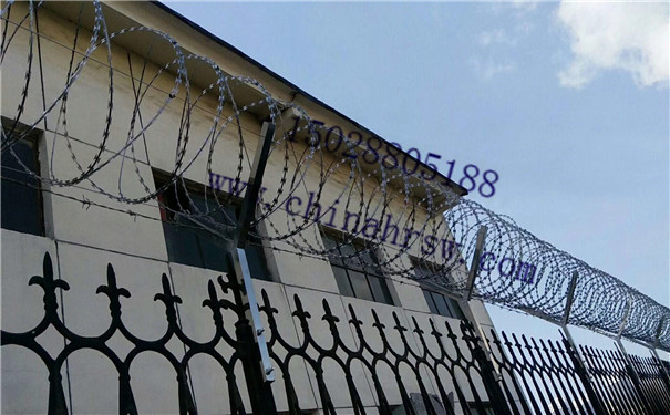 監(jiān)獄護欄網(wǎng) 監(jiān)獄護欄網(wǎng)