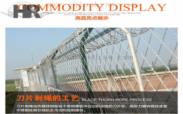 監(jiān)獄防護(hù)網(wǎng) 監(jiān)獄防護(hù)網(wǎng)