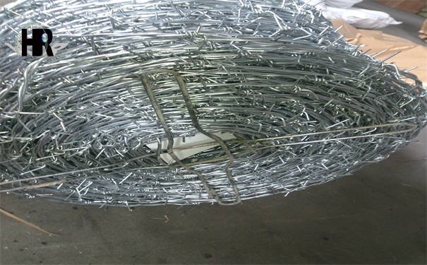 DSC_1333.jpg DSC_1333.jpg